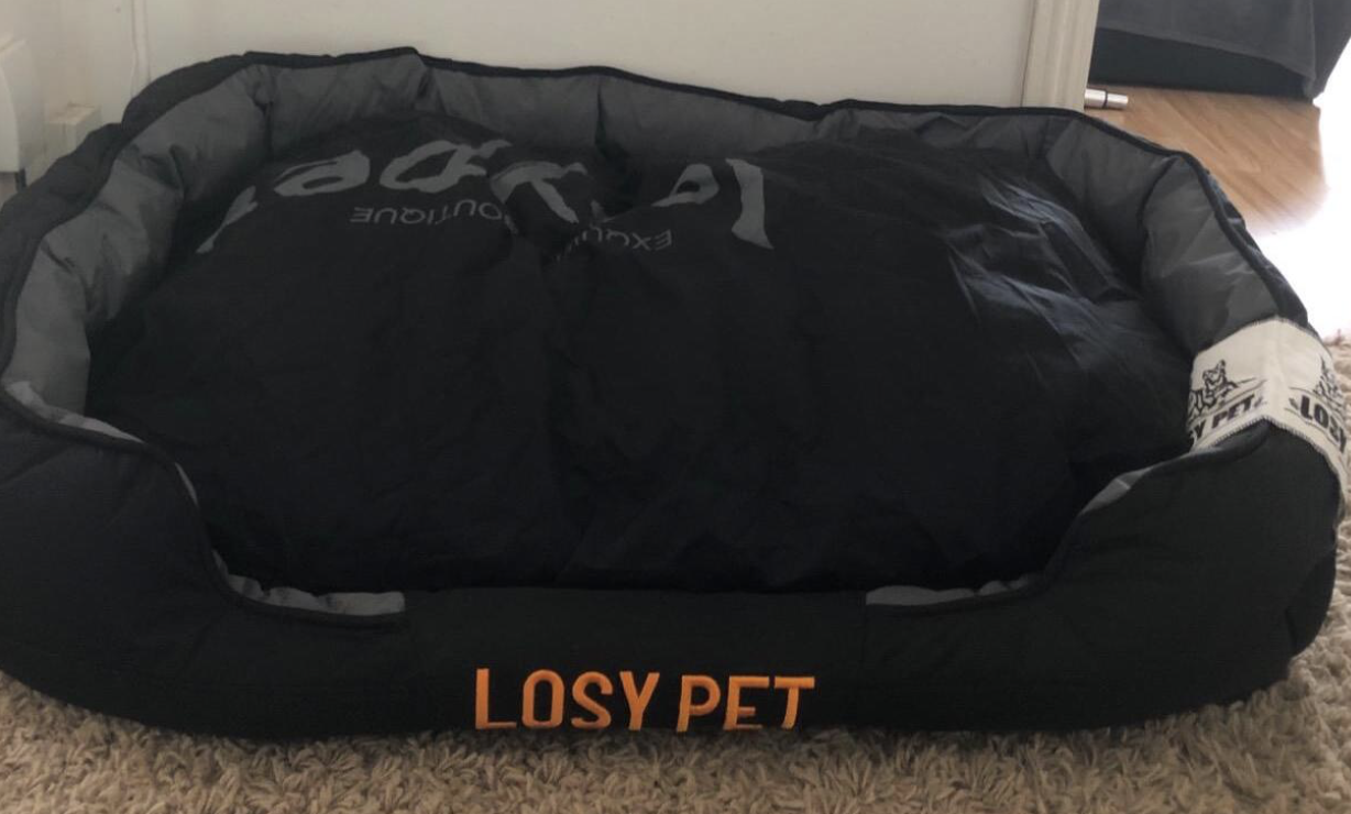 dog beds - Enhancing Their Sleeping Area with Accessories
